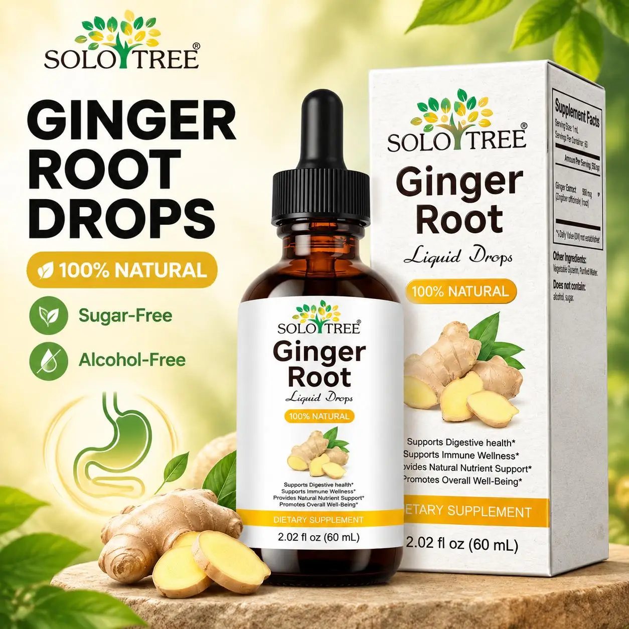 Ginger Root Liquid Drops Supports Digestive Health Immune Wellness Gut Balance Comfort Ginger Extract 500mg 60 Servings Adults