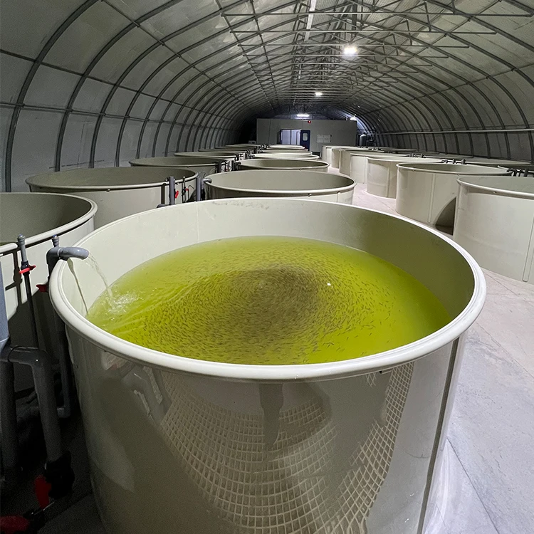 2025Commercial Shrimp Pond for Backyard Crawfish Farming Profitable Aquaculture Equipment