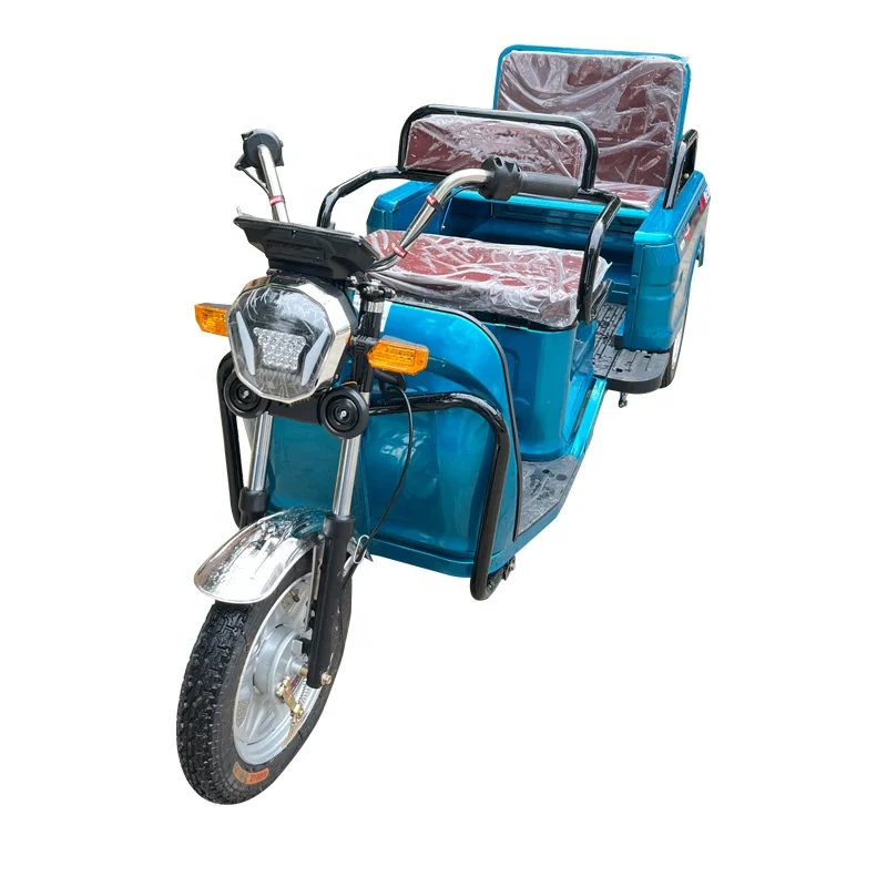 Hot Sale from China Factory 850W Electric Rickshaw Trike 1000W Power Open Body Cargo Tricycle with Iron Material Popular Design