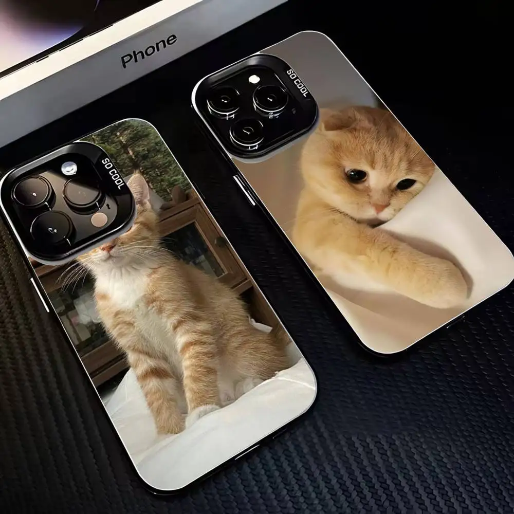 

Good Obedient Countryside Cat Phone Case For iPhone 16,15,14,13,12,11,Mini,Pro,MAX Black Matte Shockproof Cover