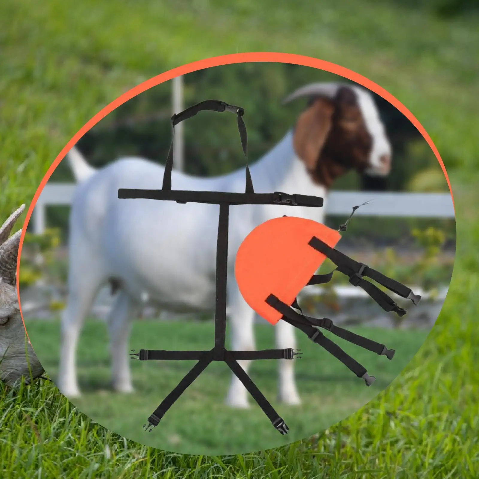 

Goat Braudder Bag Goat Bra Support Easy to Put on Take Off Protection Gear