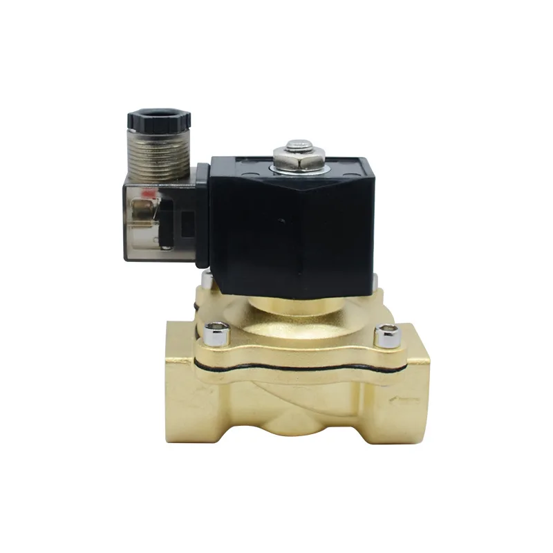 2W250-25 All Copper Plastic Sealing Coil Solenoid Water Valve DN25