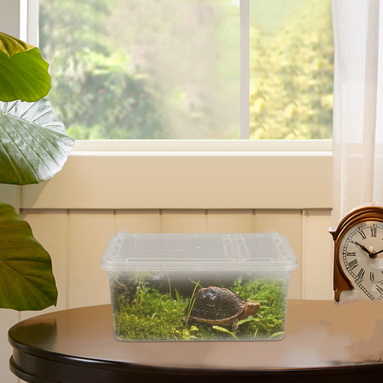 

Portable Reptile Feeding Box Compact Acrylic Terrarium Spider Container Breeding Case Small Reptile Holder Fade Resistant Secure