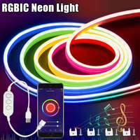 RGBIC Neon Strip Lights DC5V USB Neon Rope Light 1M 2M 3M 5M Bluetooth APP Control Music Sync DIY Neon Light For Home Decoration
