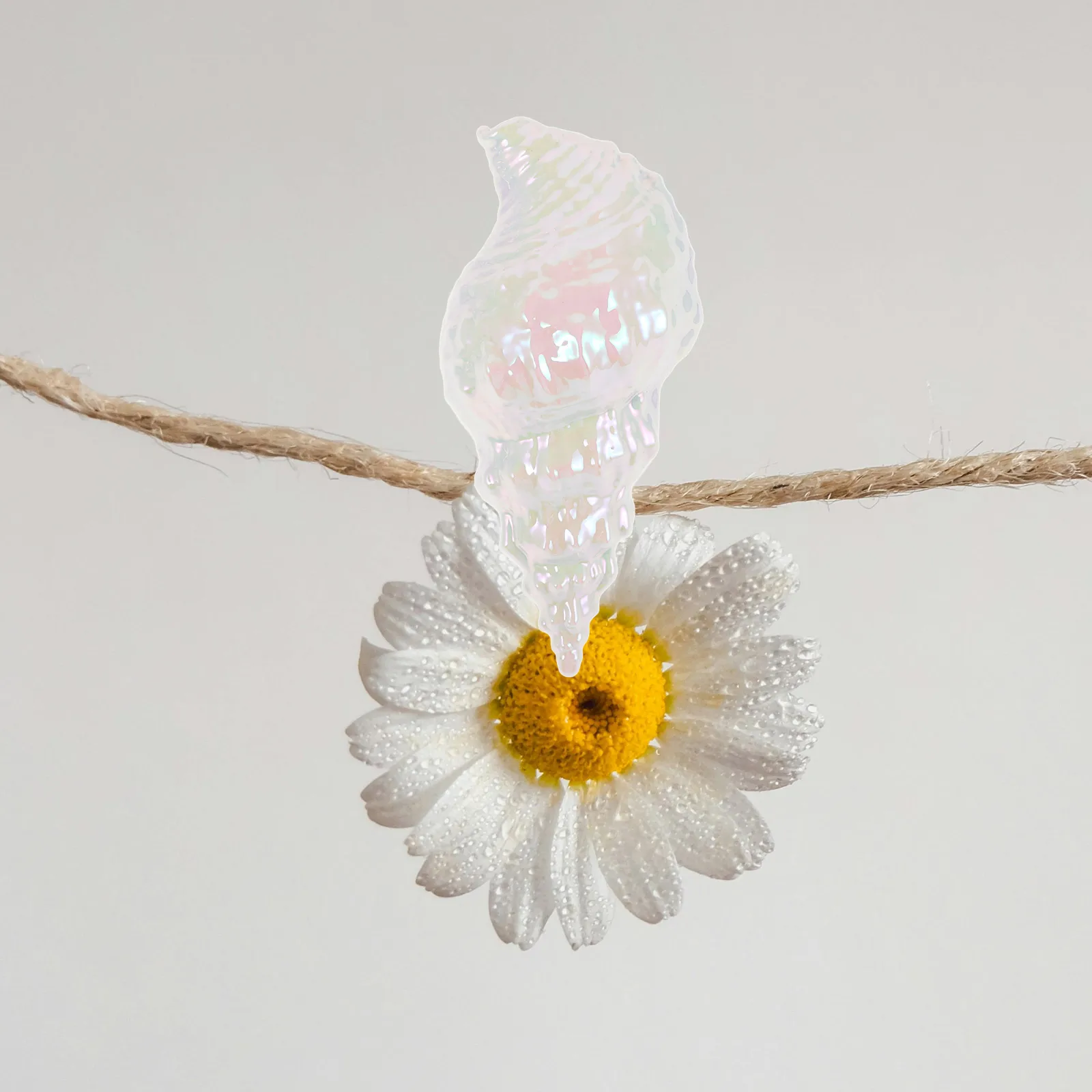 

Practical Conch Towel Clips Beach Chair Holders Strong Grip Lightweight Portable Versatile Use Hats Clothing Poolside