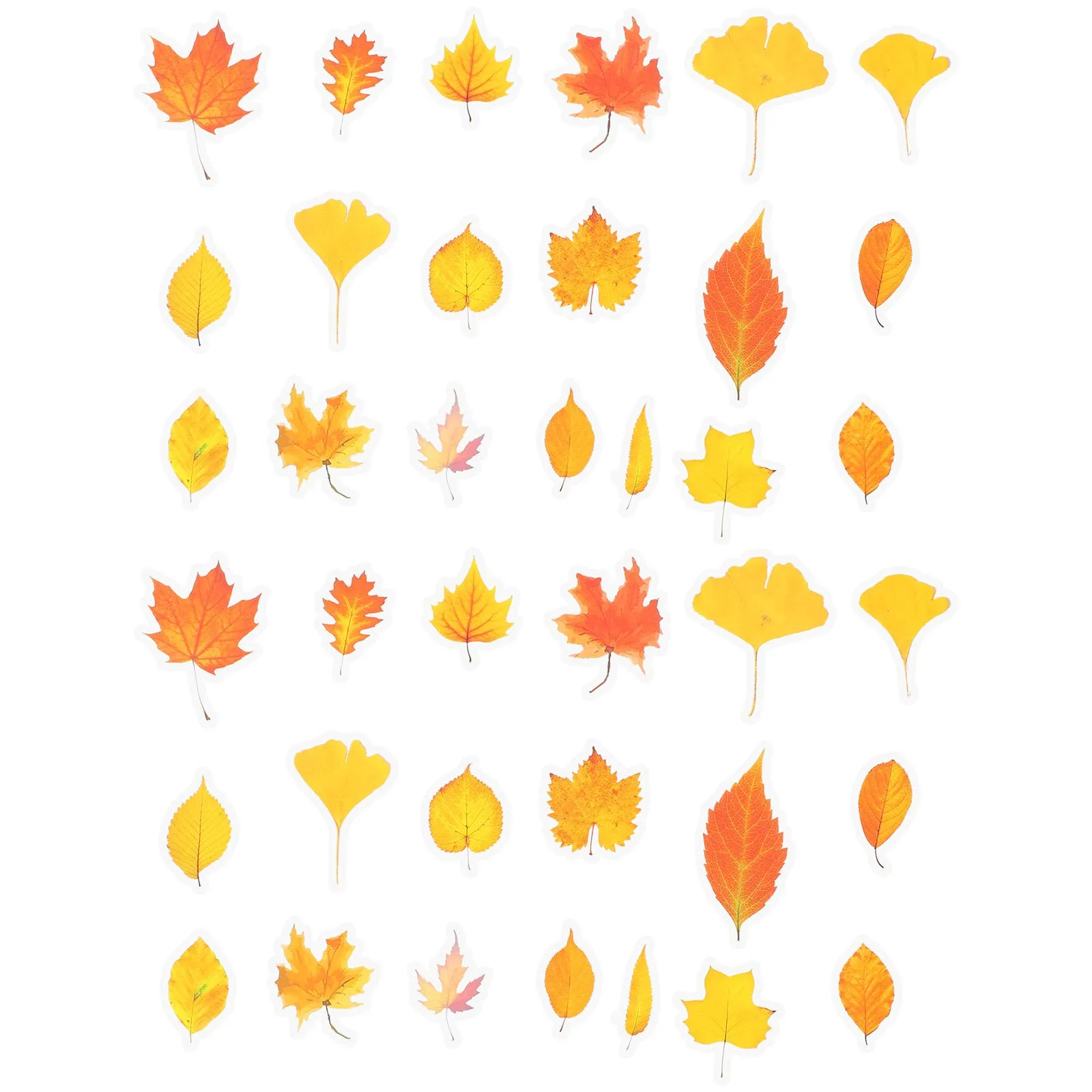 2Sets Pretty Stickers Vibrant Botany Themed Self-Adhesive Labels for Notebook Planner Craft Projects Easy to Use Removable