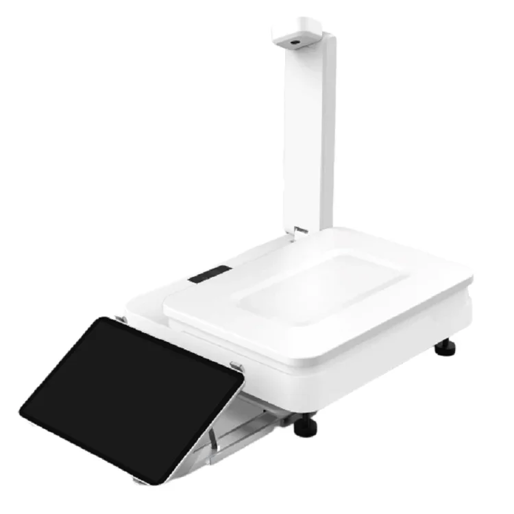 Best Seller Pos Scale Rongta C2-AI Recognition LCD Digital Display Optional Tablet Weighing Balance Vegetables