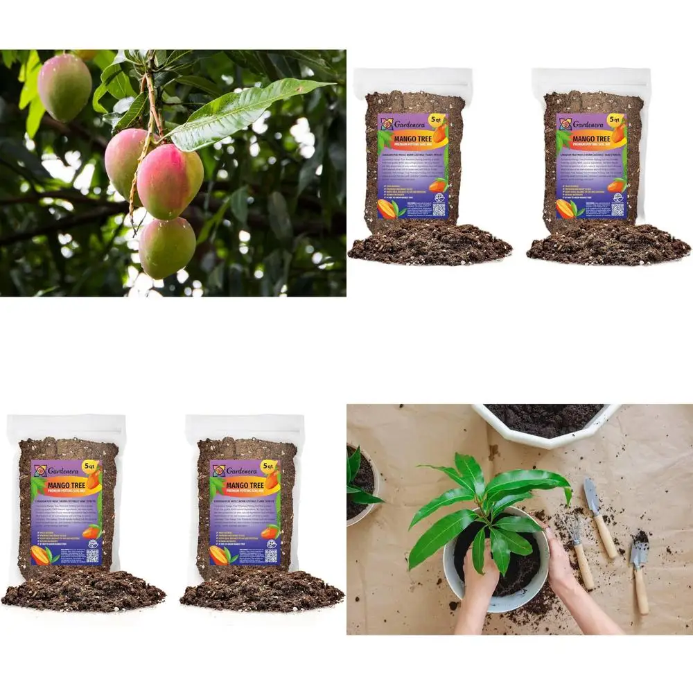 

All-Natural Potting Soil for Mango Trees - Promotes Root Health & Abundant Harvests - 10 Quart