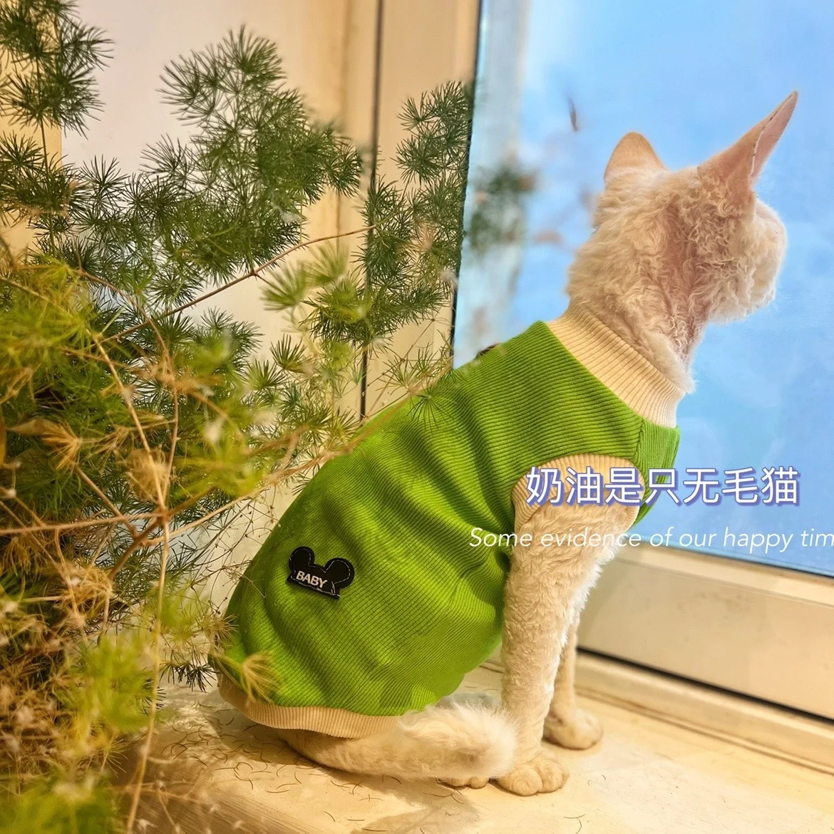 Grünes Baumwoll hemd für Sphynx Katze weicher ärmelloser Overall für Kätzchen Sommer weste für Devon Rex Frühlings mantel für haarlose Katze