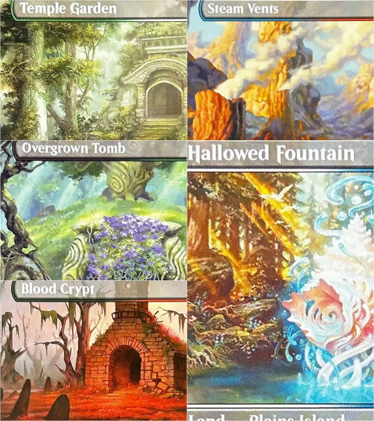 5 шт. Shocklands Lorwyn Holo TCG Magic Proxy Cards Temple Garden