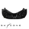 SKYZONE SKY04O PRO FPV 고글 1