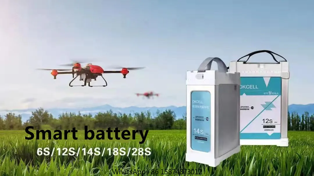 High quality rechargeable Li-po batteries 12S 16000 mAh 22000 mAh 44.4V battery for agriculture sprayer dr one