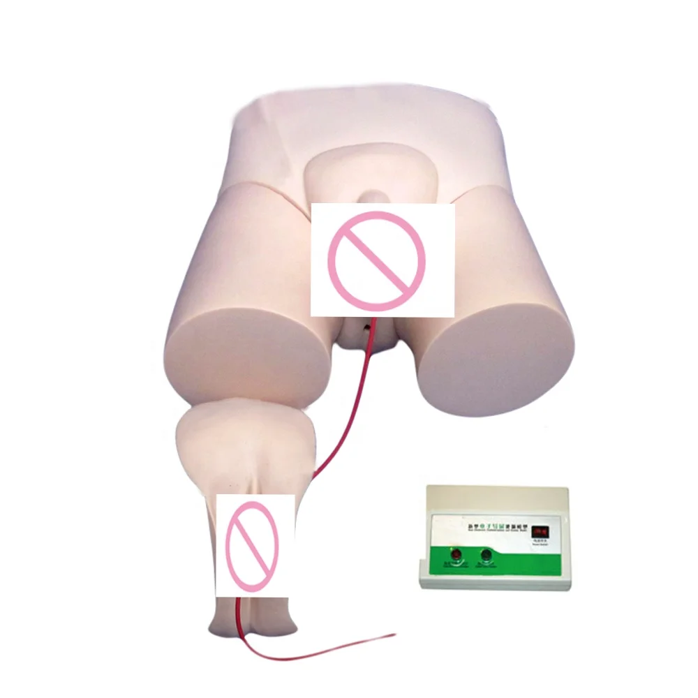 

Уникальный манекен для мочевой катетеризации, тренажер для клинической медсестры, уход за пациентом, обучение фантом