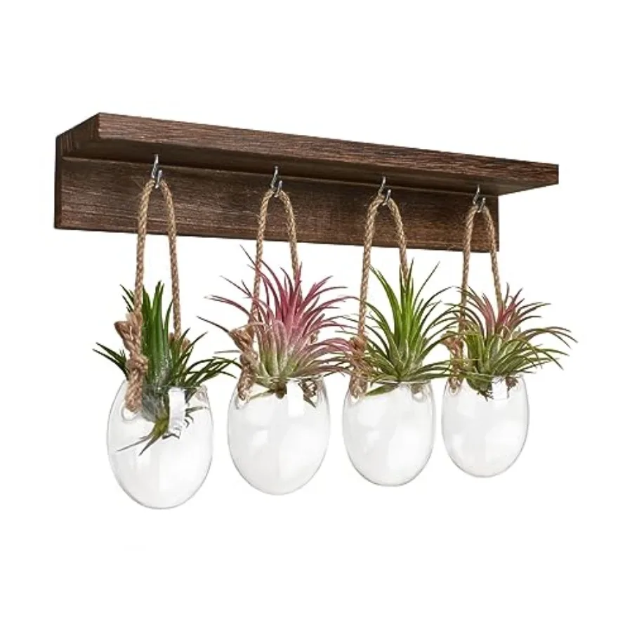 

4 Pcs Wall Hanging Glass Plant Stand Indoor Desktop Propagation Stations Plant Pot Wall vase with Wooden Stand Eggshell ShapeWa