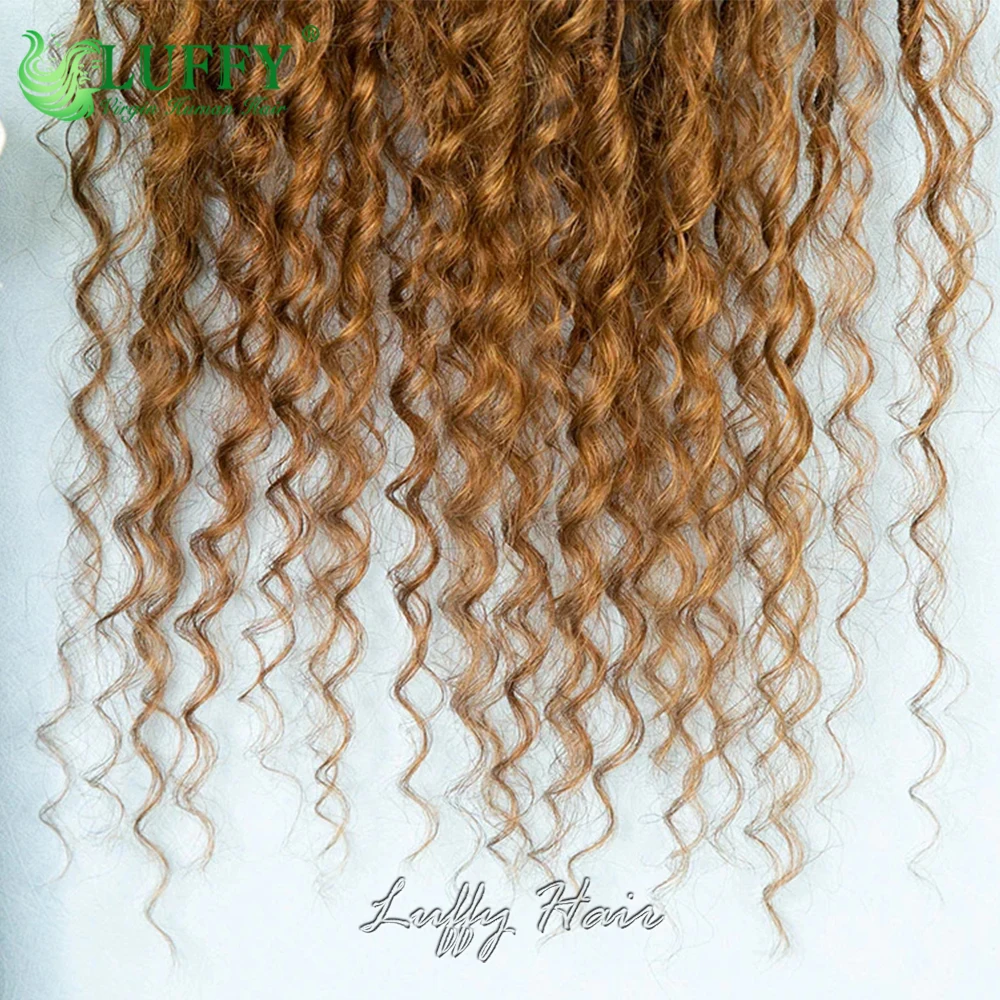 Color 30 Medium Auburn Boho Locs Human Hair Curls Pre Looped Crochet Locs with Human Hair Curls Knotless Locs Braid Extensions