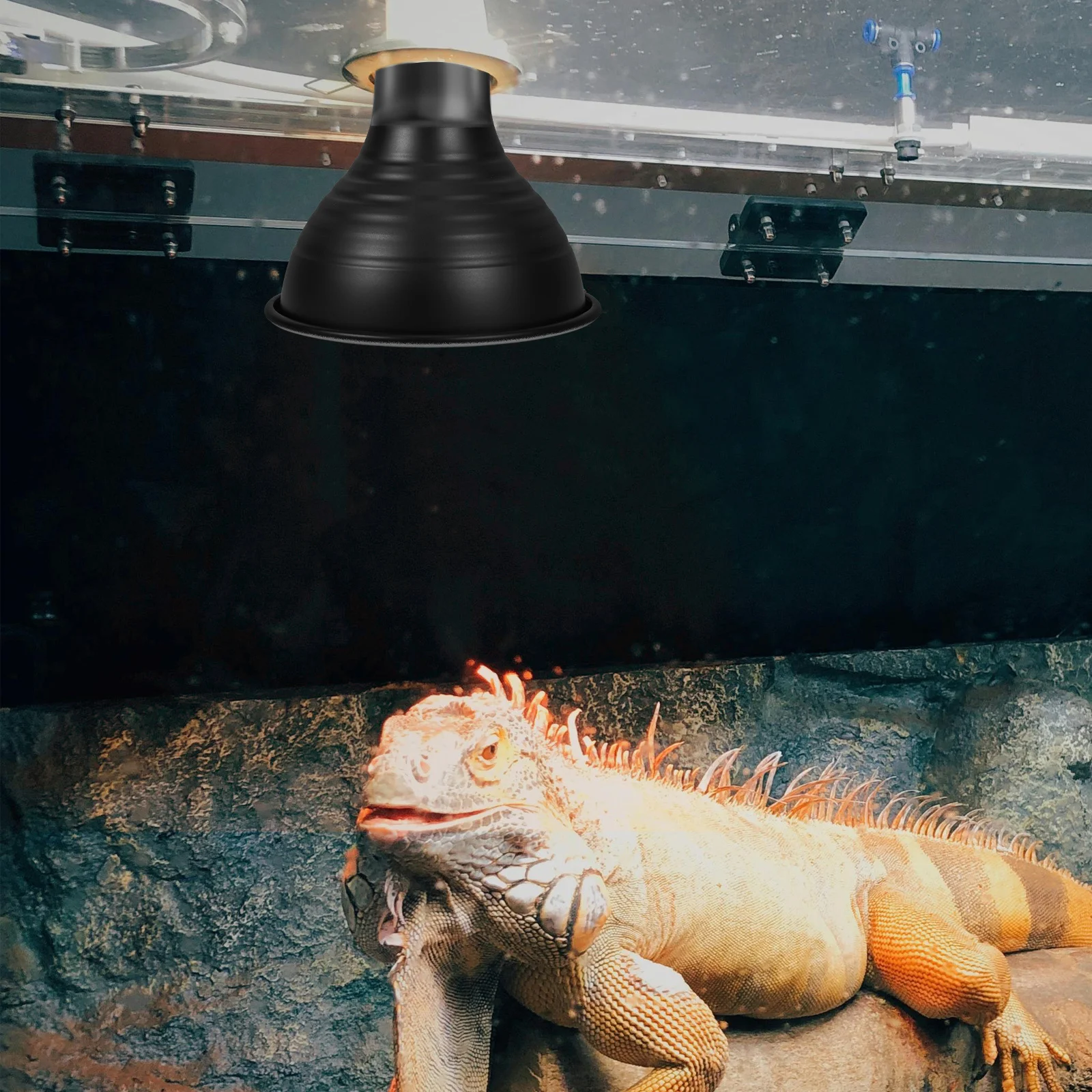 الزواحف غطاء مصباح عاكس قبة تركيبات غطاء المصباح الحراري حامي ل سحلية تررم صندوق معدني الحرس صافي ملحق