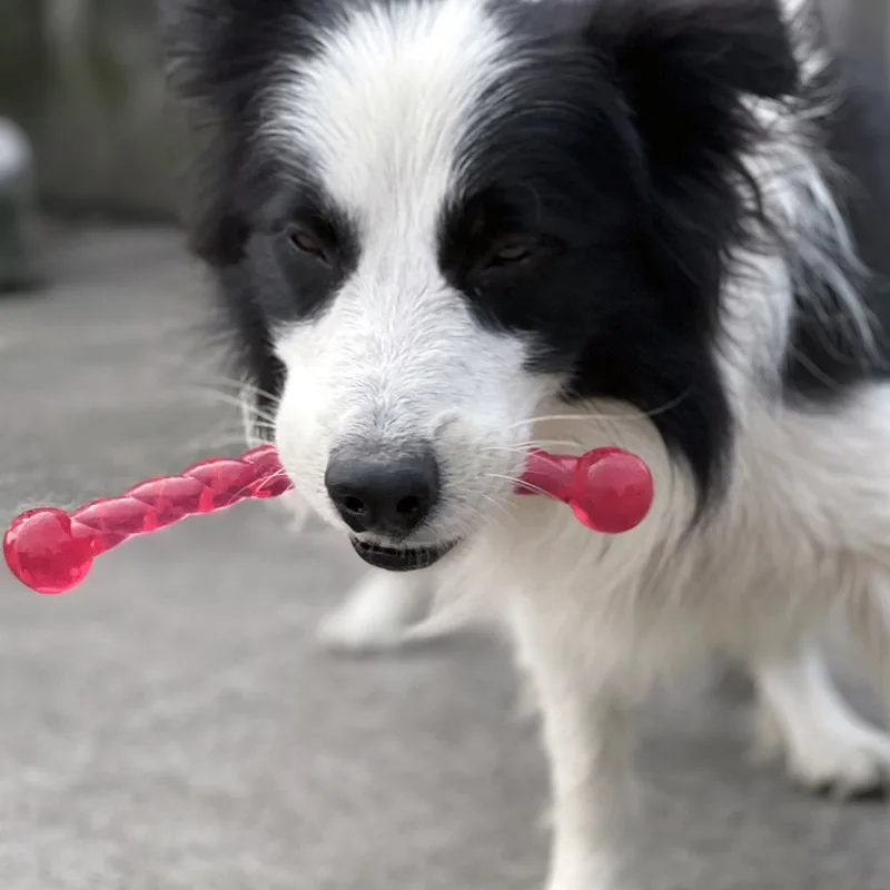 Medium and large dogs bite-resistant molar stick interactive twisting bending stick tpr chewing dog toy training interaction