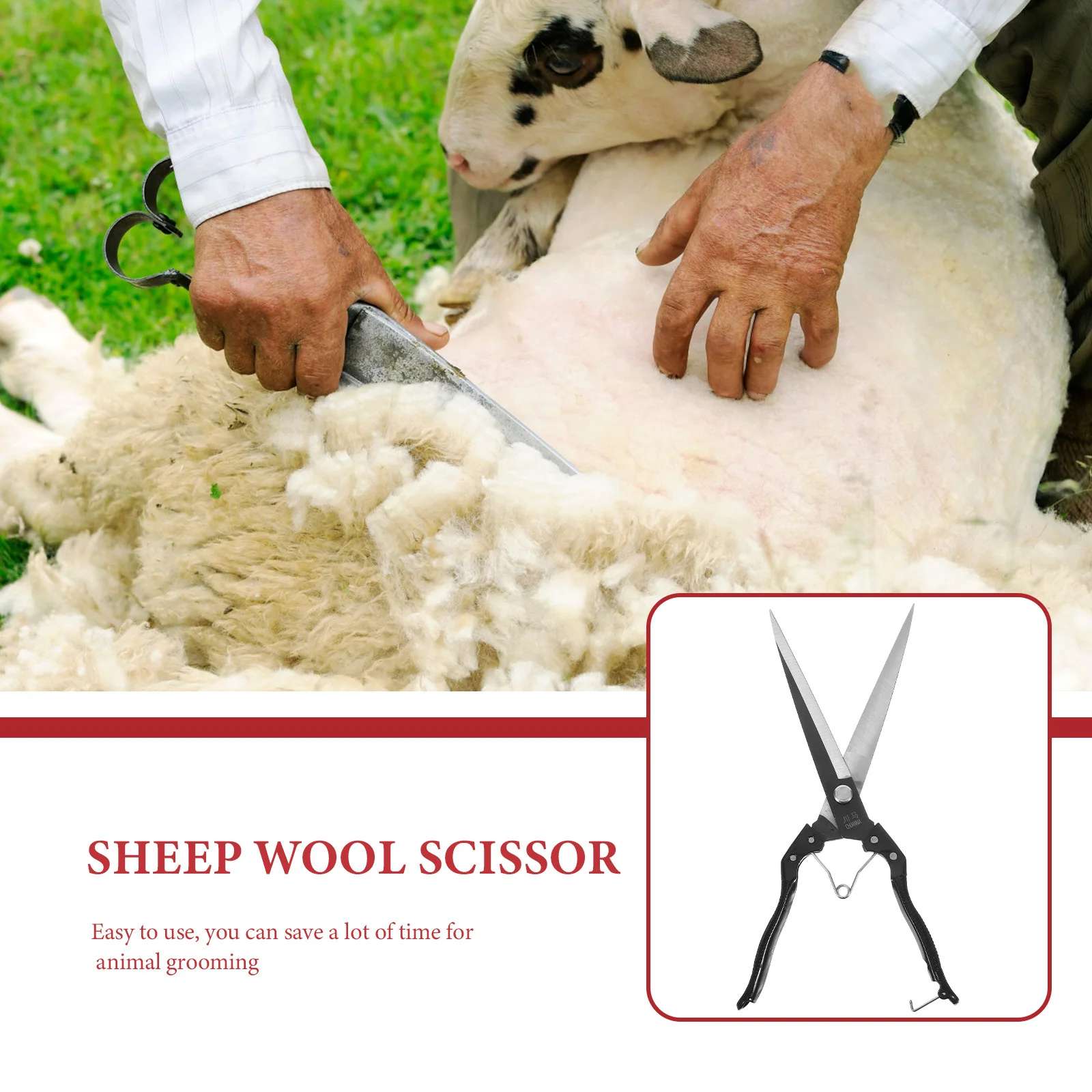 

1 Set Metal Sheep Hair Scissor Farm Animal Trimming Tool Carbon Steel Sharp Blade For Cow Alpaca Horse Grooming Wear-Resistant