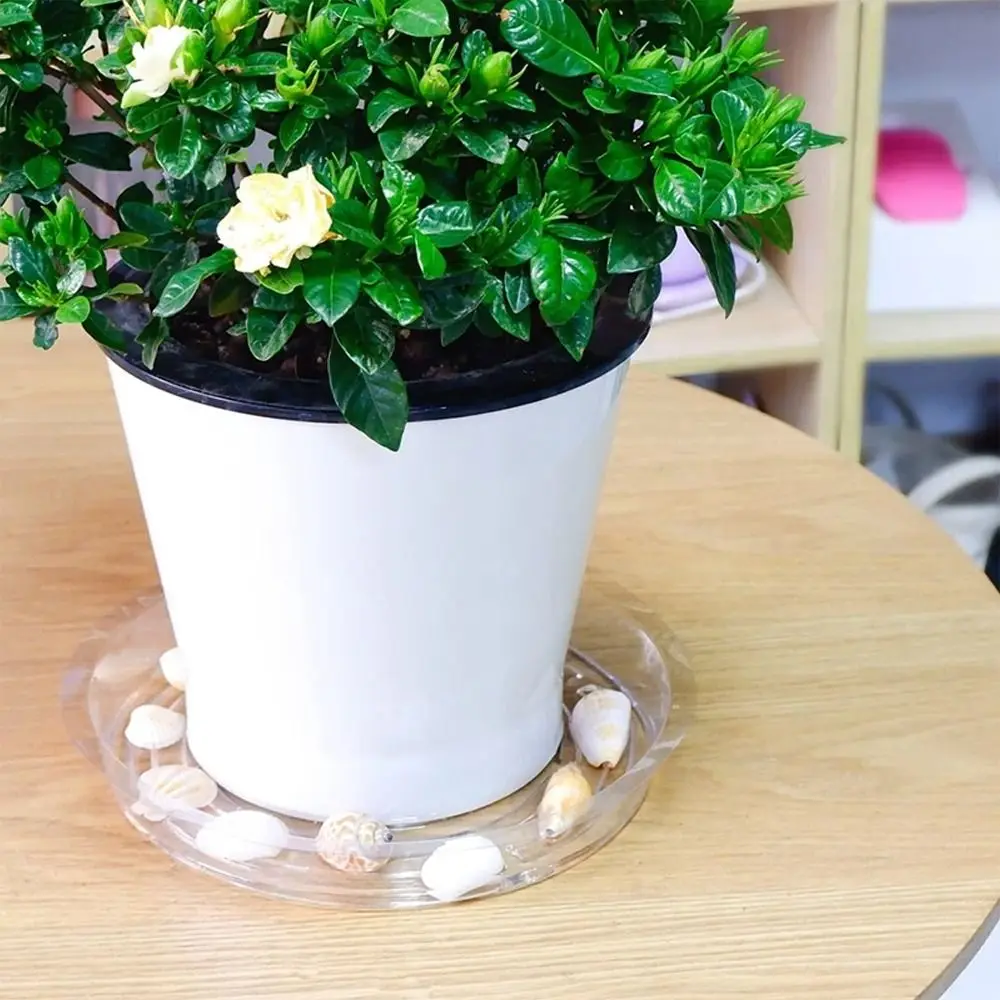 5pcs Plant Bottom Dish 6/8/10/12 Inch Plastic Flower Pot Tray Round Anti-slip Planter Mat Sturdy Transparent Drip Trays Garden