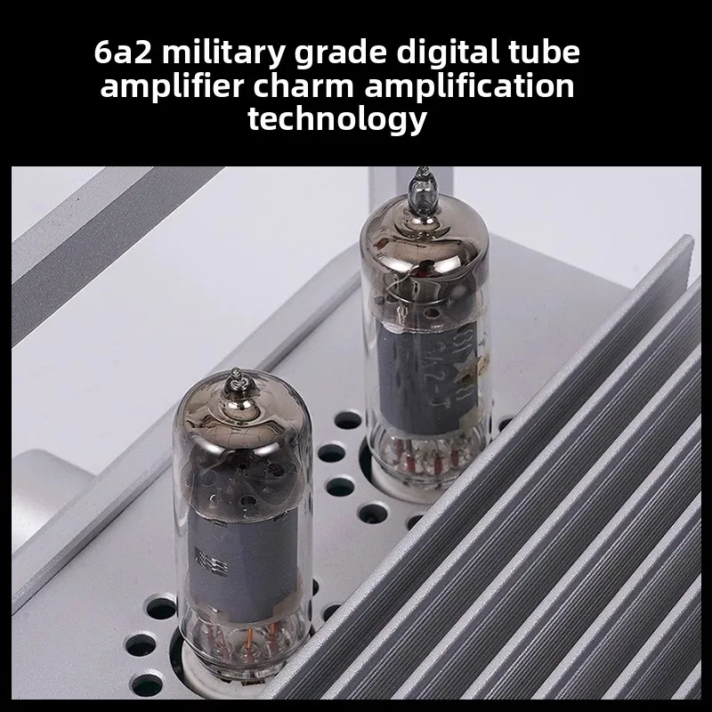 BREEZE Front Gallbladder Rear Stone Combined Amplifier True Tube Amplifier Home Desktop Power Amplifier Bluetooth 5.3