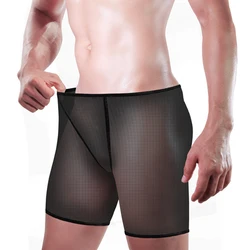 Sexy See Through Shorts Mens Mesh Lingerie Comfortables Briefs Elastic Breathableshorts Nighties For Sex