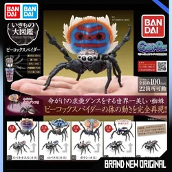 BANDAI Biological Encyclopedia Action Figures Model Peacock Spider Spider Jumping Spider Simulated Insect Gashapon