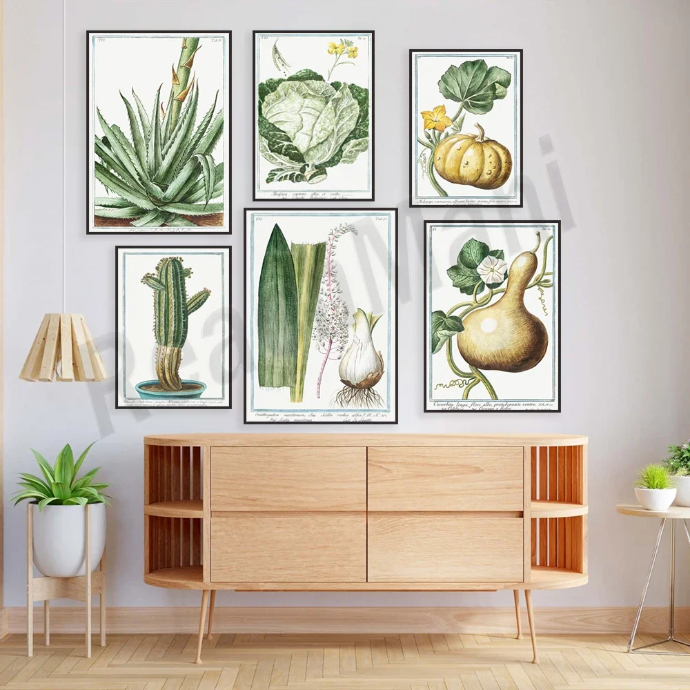 Giorgio Bonelli art print, cabbage, sea onion, cucumber, cactus, gourd, pineapple, water lily, orange blossom, botanical poster