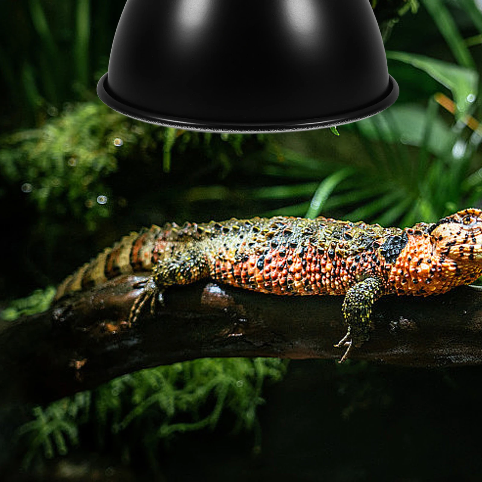 

Heat Lamp Shade Reptile Reflector Dome Fixture Insulation Cover Metal Heating Lampshade Terrarium Accessory