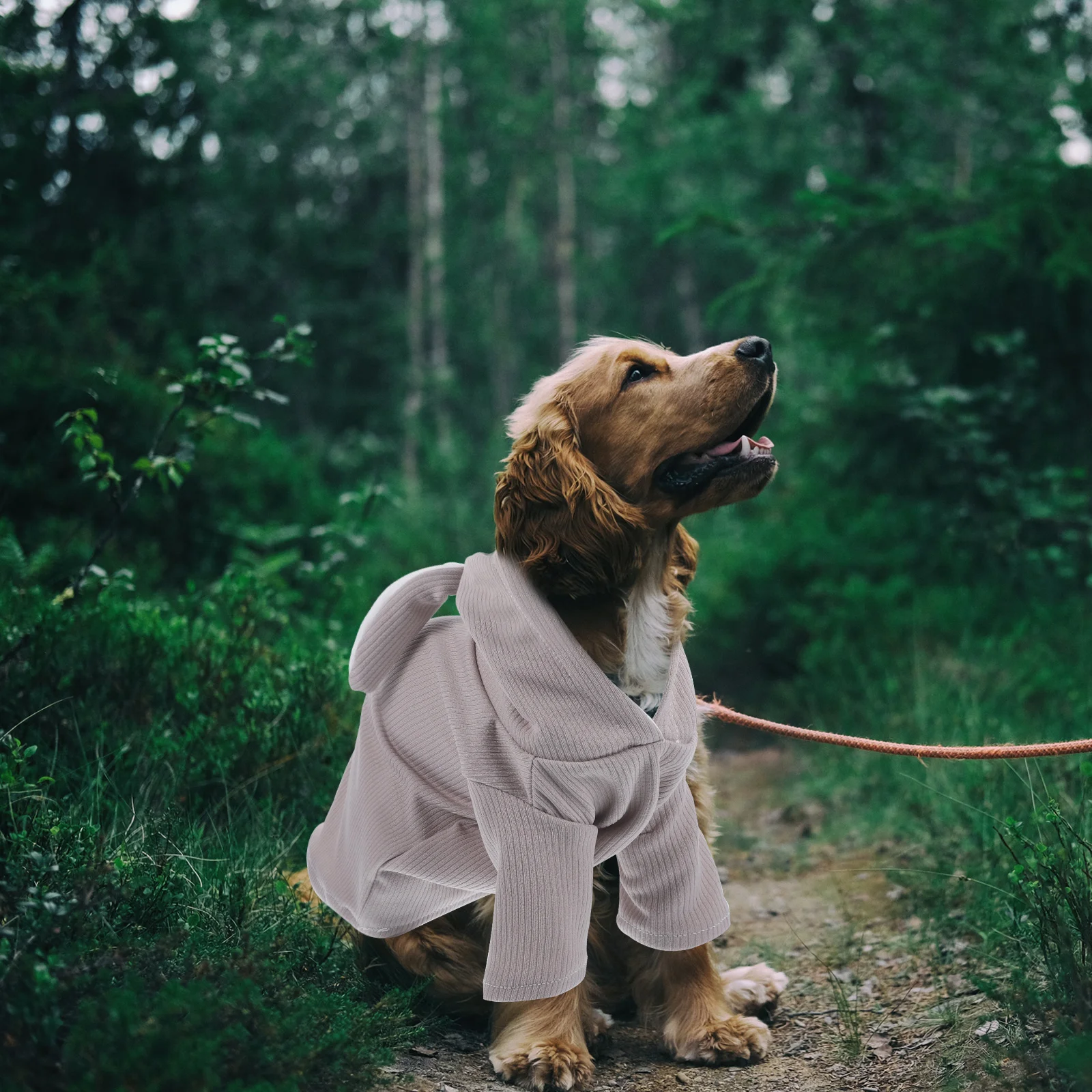 

Clothing Suit Halloween Costumes Dog Clothes Cat Apparel Warm Knit Sweater Trendy Design cosplay Photo Shoots Pet Fashion Pet