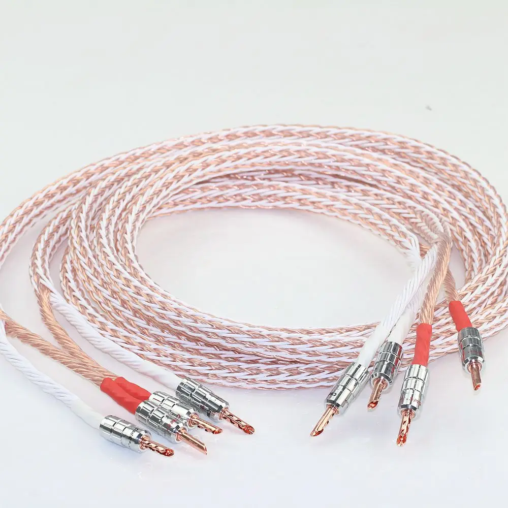 كابل مكبر صوت Jinbao 12tc عالي الدقة، كابل مكبر صوت 7NOCCHiFi 24 كور، زوج واحد من كابل توصيل مكبر كهربائي