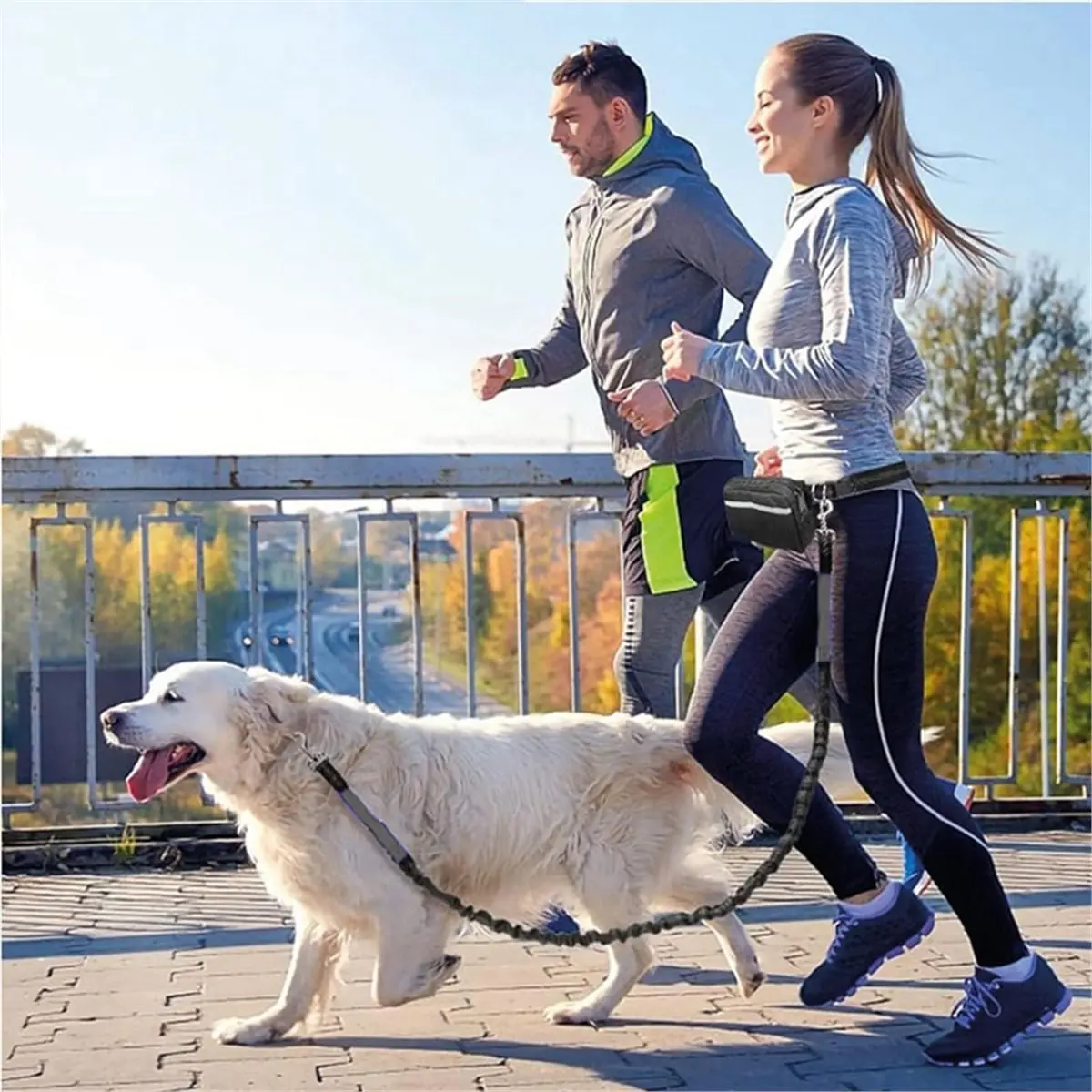 

Многофункциональная спортивная поясная сумка, удлиненный поводок без рук, регулируемый для прогулок с собаками и поводок для домашних животных