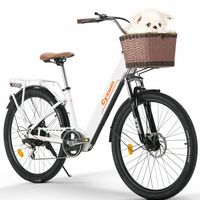 Electric Bicycle 26\