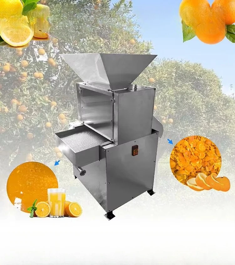 Industrial Cold Press Double Roller Slow Squeezer Commercial Fruit Lemon Juice Make Citrus Orange Juicer Extractor Machine