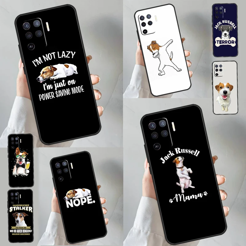 Jack Russell Terrie… - image