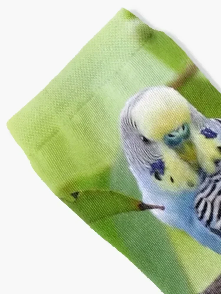 parakeet Socks Stockings man ankle luxe warm winter Luxury Woman Socks Men's