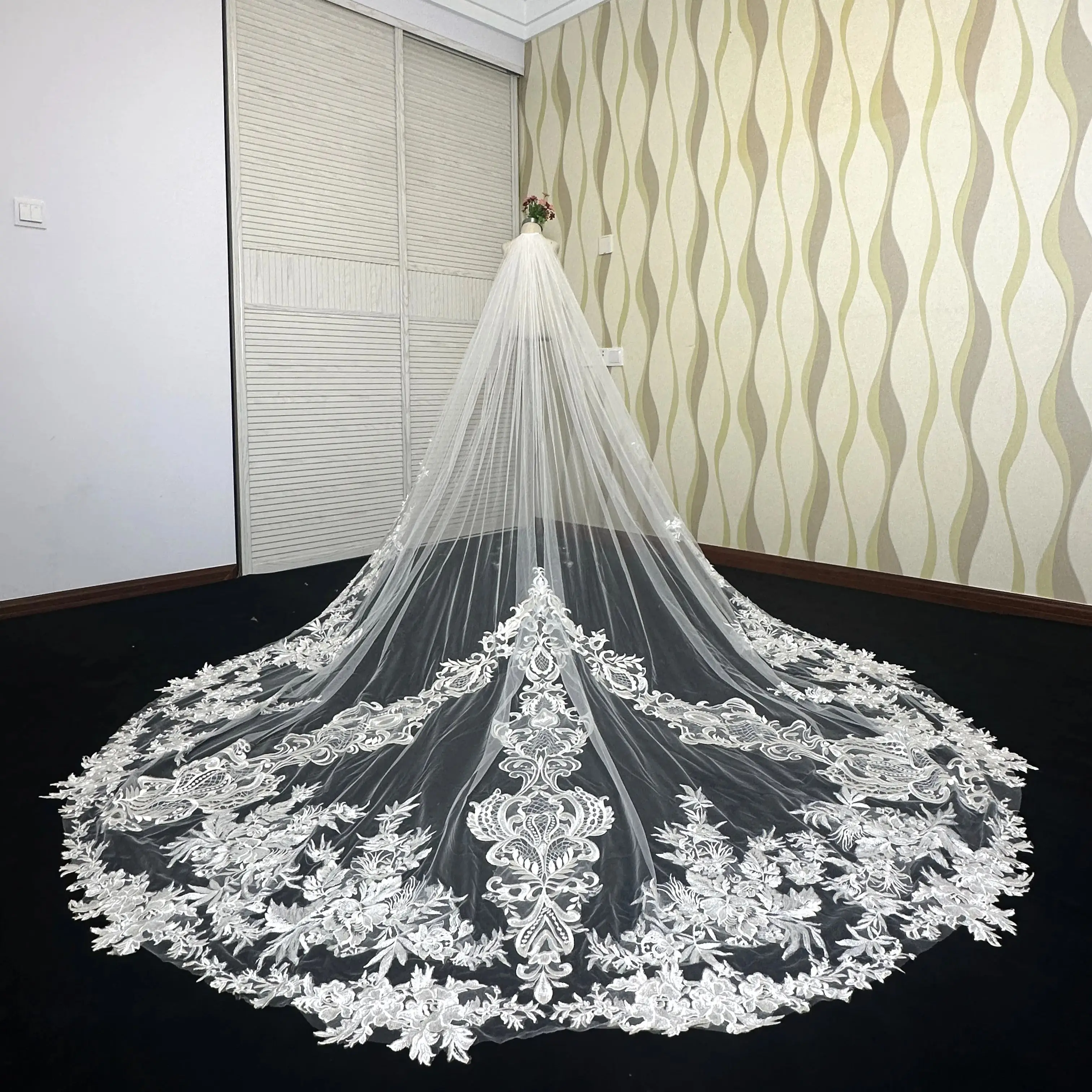 2024 Modern Luxurious Women's Wedding Veil Elegant Long Lace Appliques Cathedral Bridal Veil Charming Generous Cosas Para Bodas