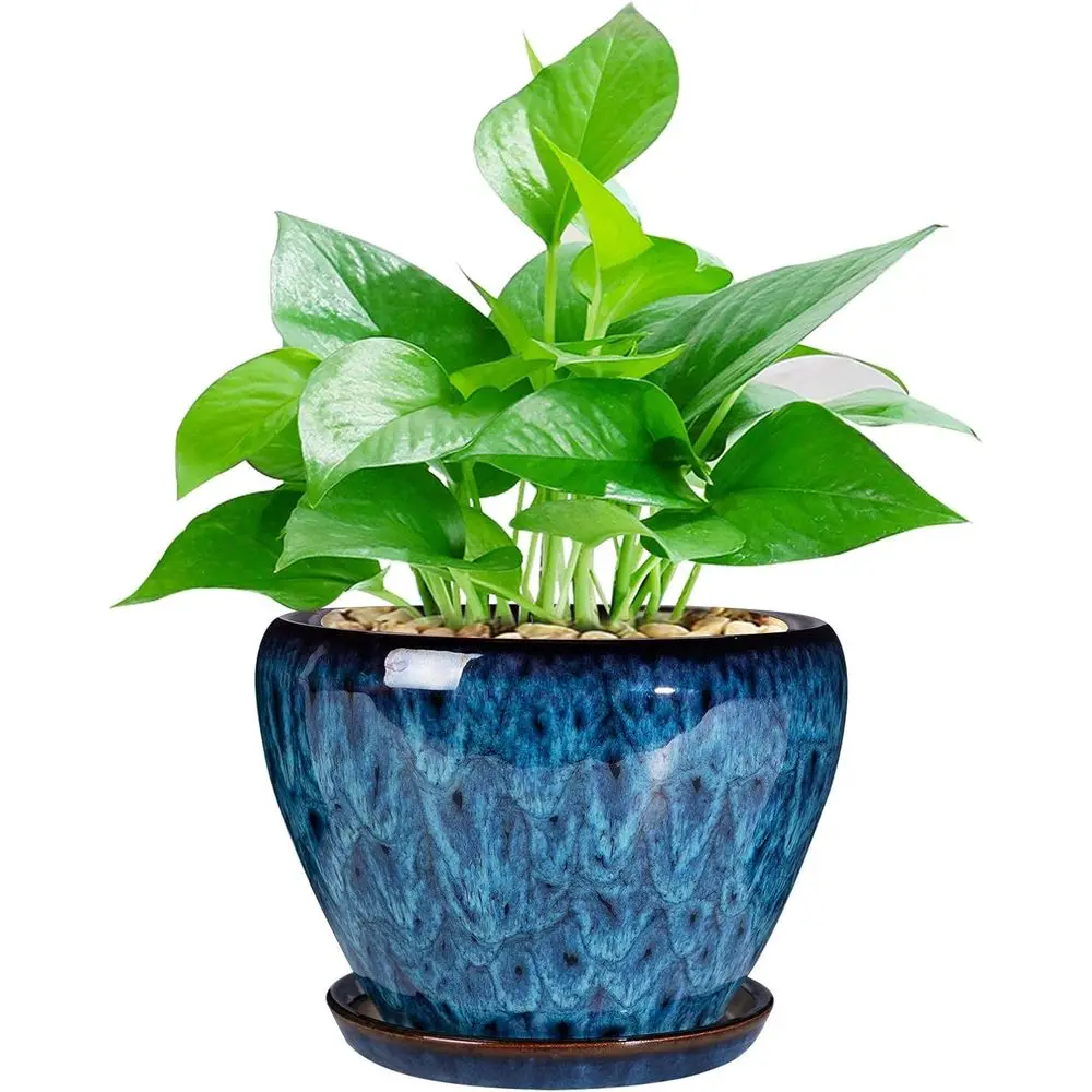 6 Inch Round Glazed Succulent Planter Pot with Drainage and Saucer for Indoor or Outdoor Use