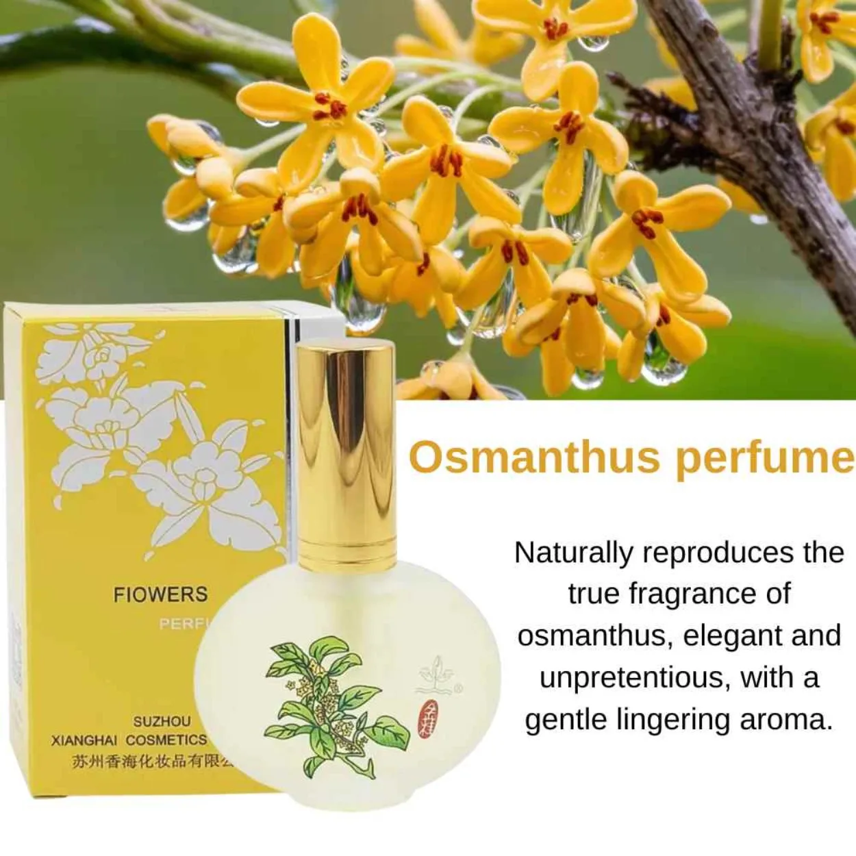 

Real Flower Essence Perfume for Women 30ml Osmanthus Gardenia & Plum Blossom Light Fragrance Travel Size summer perfume