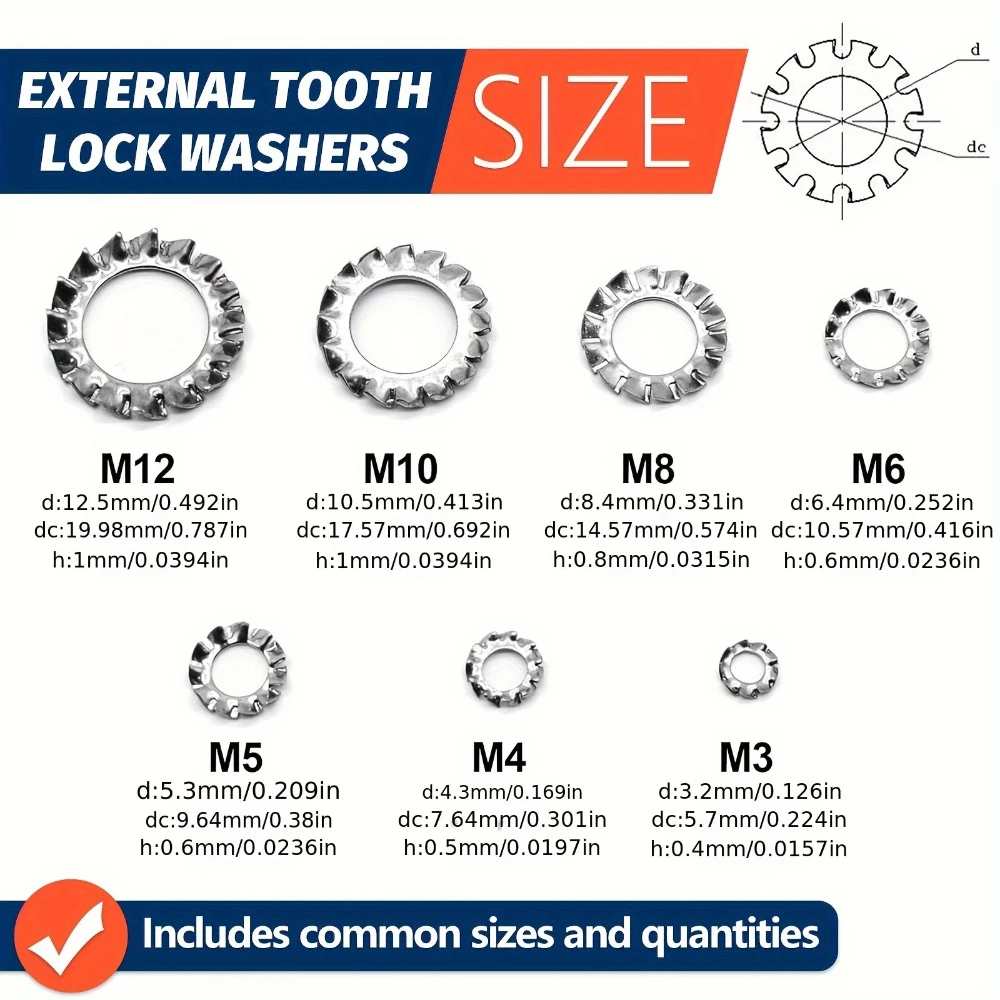 Assortimento di rondelle di bloccaggio a stella multi-dente esterne in acciaio inossidabile da 160 pezzi Guarnizione seghettata esterna in acciaio inossidabile M3 M4 M5 M6 M8 M12