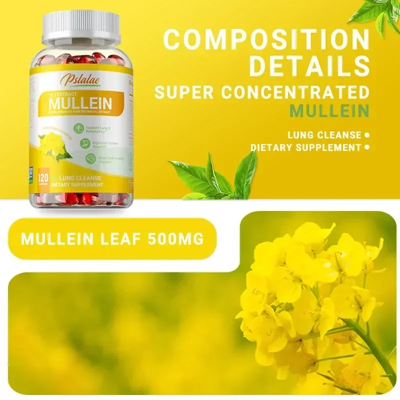 

Mullein Leaf Extract - Natural Lung Cleanse, Improves Digestion, Supports Lung Function & Respiratory Health, Boosts Immunity