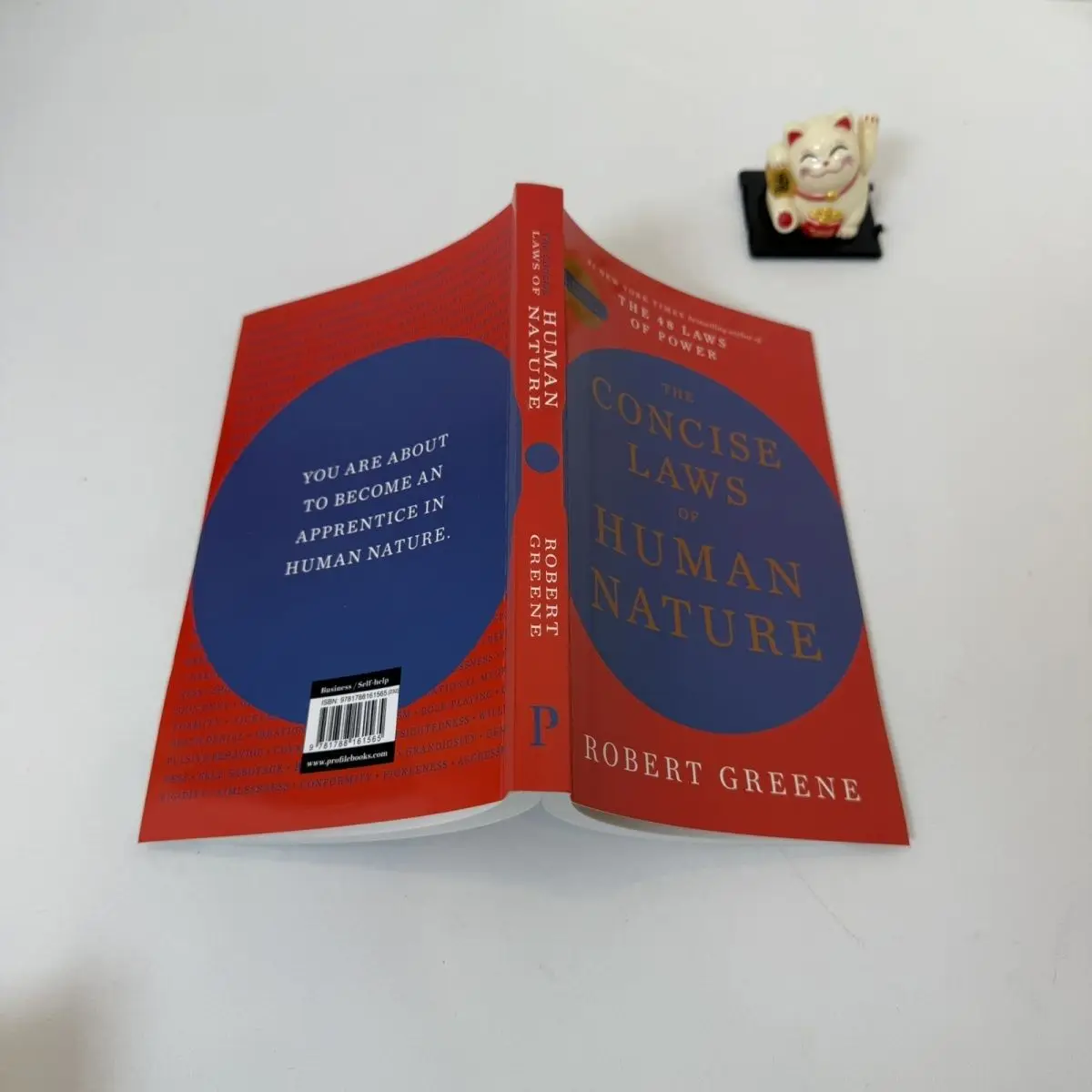 Le leggi concise della natura umana Regole concise della natura umana Философия Libros Libro Filosofia Libri inglesi Libri