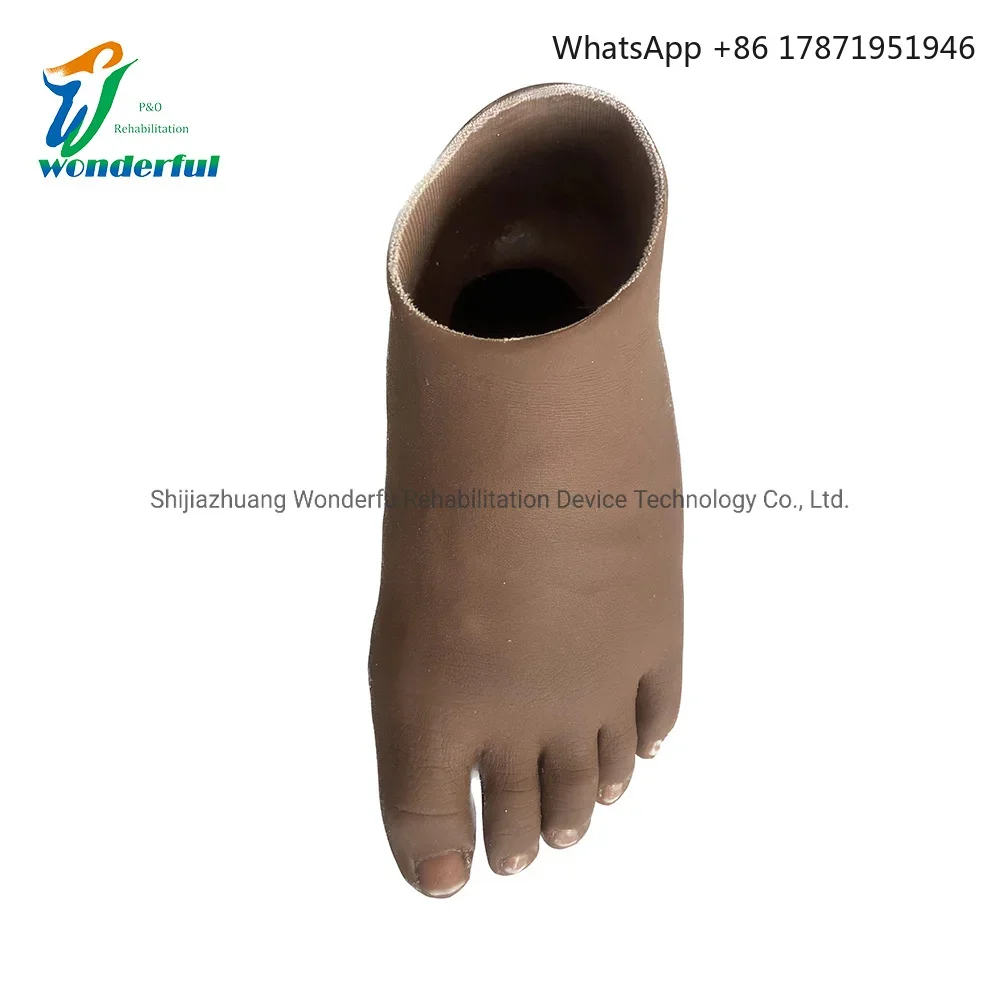 

WDF Artificial Limb Prosthetic Cosmetic Foot Silicone Foot Prosthetic Foot