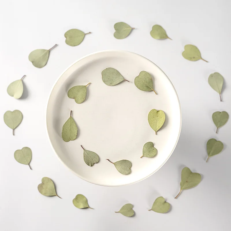 

60pcs Pressed Dried Heart Eucalyptus Leaf Flower Herbarium For Resin Epoxy Jewelry Card Bookmark Frame Phone Case Makeup Lamp