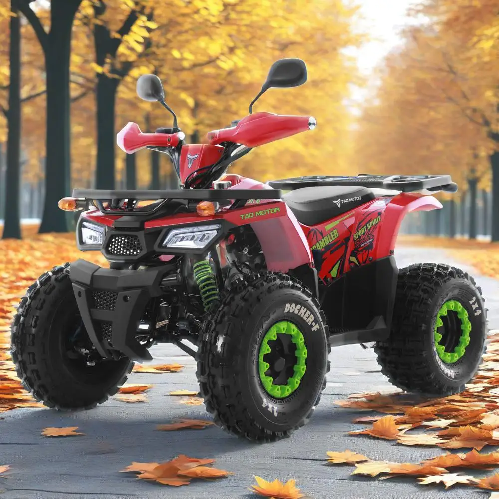 Tao Motor 2025 New Automatic Chain Drive 4x2 ATV Quad Bike Cuatrimoto 125cc ATV for Kids