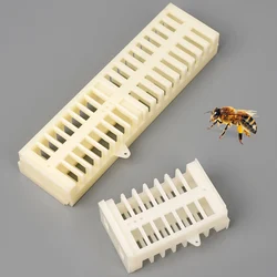 20pcs Plastic Bee Queen Cage White Safety Mutil-functional Stretch Hutchs Tools Beekeeping Supplies Tools