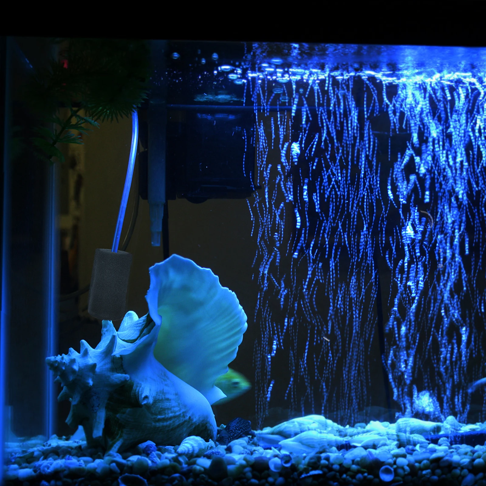 

10Pcs Fish Tank Pre-Filter Sponge Sleeve Aquarium Filter Sponge Roll Protection for Small Fish Shrimp Aquarium Supplies