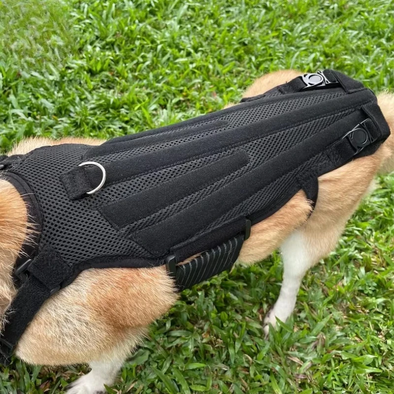 

Dog Back Brace for Dogs Arthritis Back Protector Helps Pain Relief Surgical Recovery and Rehabilitation