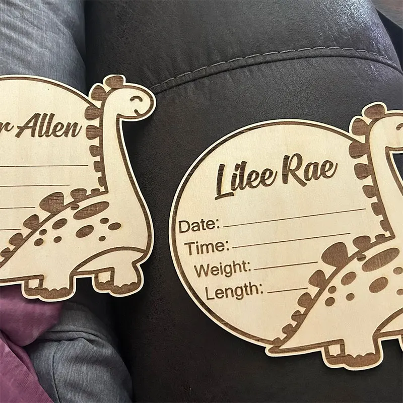 Custom Dinosaur Baby Name Signs Dinosaur Birth Statistics Wooden Baby Name Plaques Personalized  Boy and Girl  Shower Gifts