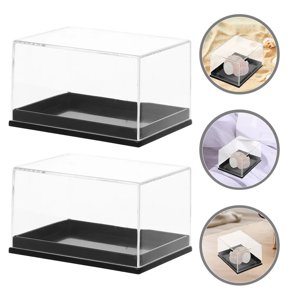 

8 Pcs Mineral Display Case Gemstone Clear Rectangle Jewelry Boxes Conch Specimen