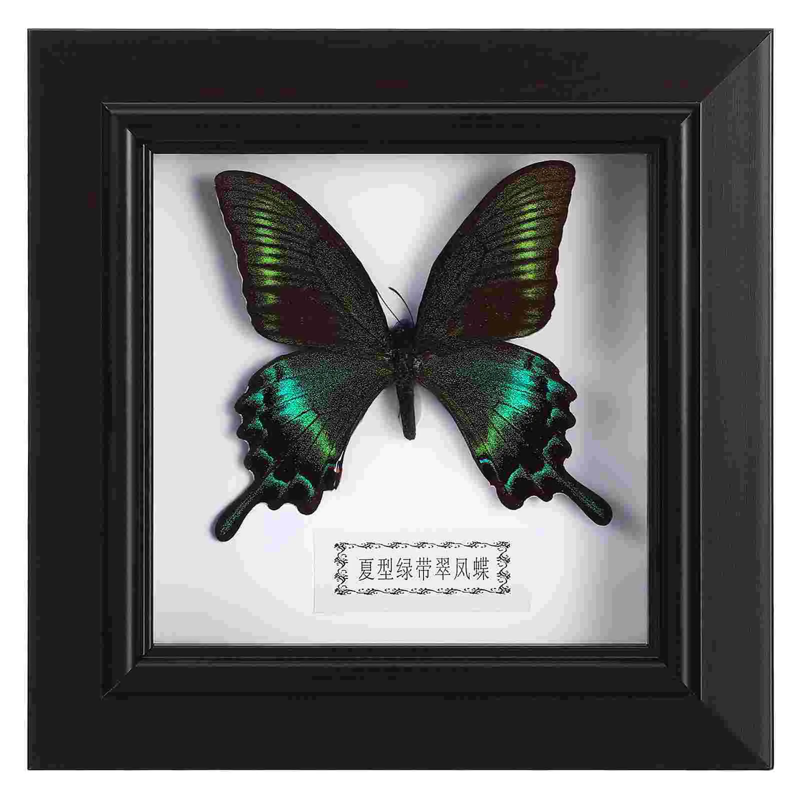 Photo Frames DIY Display Artwork Decor Insect Case Handmade Specimen Wall Hanging Picture Wooden